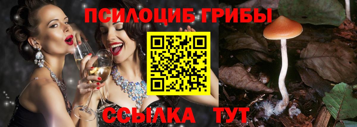 Вышний Волочёк  Псилоцибиновые грибы Psilocybe  Галлюциногенные грибы Magic Shrooms  Вход с VPN 